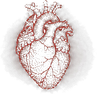 Red anatomical heart logo for Not Just Brain Films
